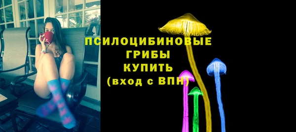 прущие крисы Абаза