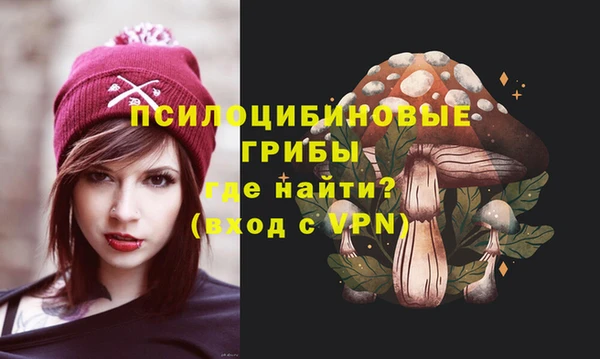 прущие крисы Абаза